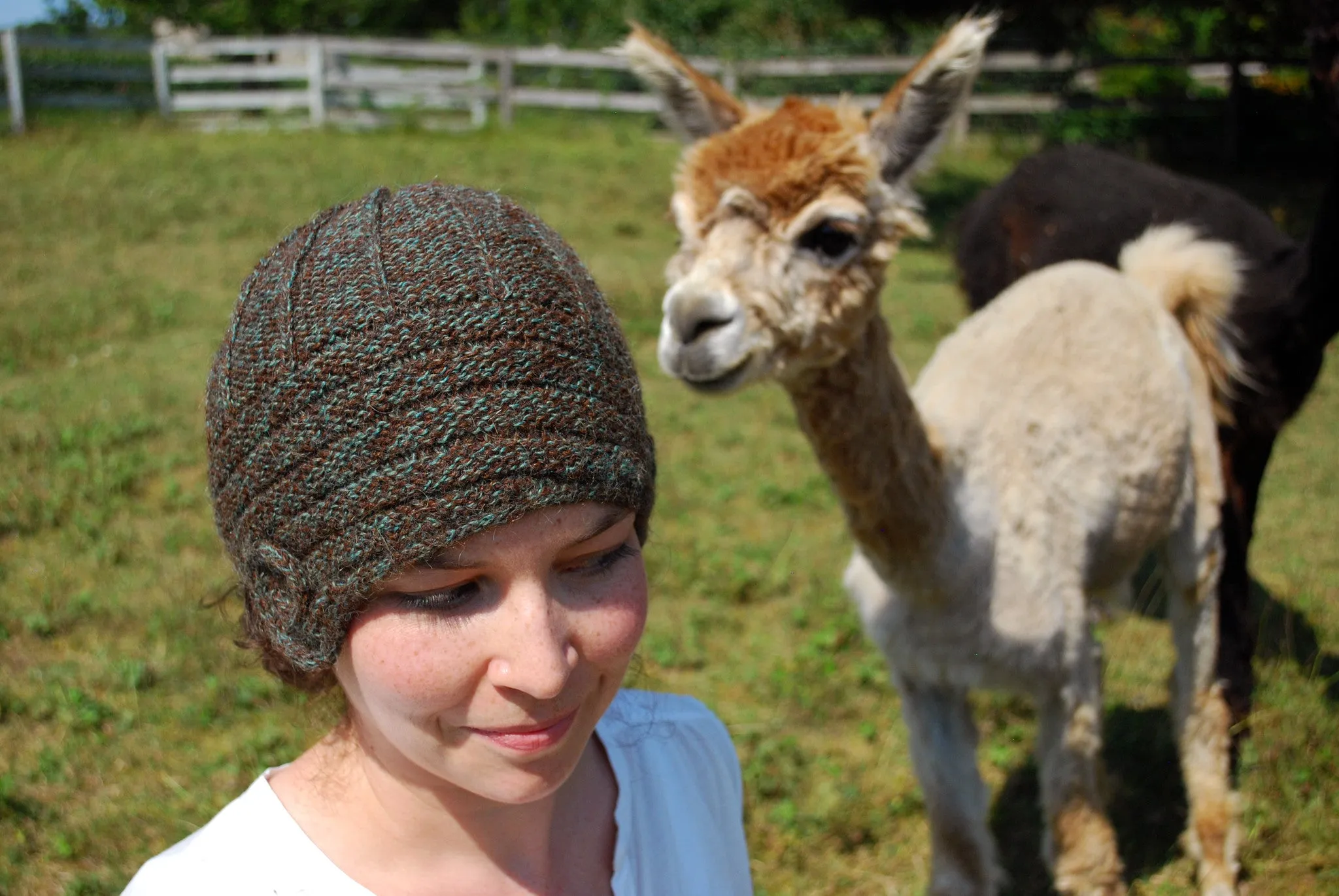 Lovelock Cloche Pattern (PDF) - Knitting Pattern by Phibersmith Designs