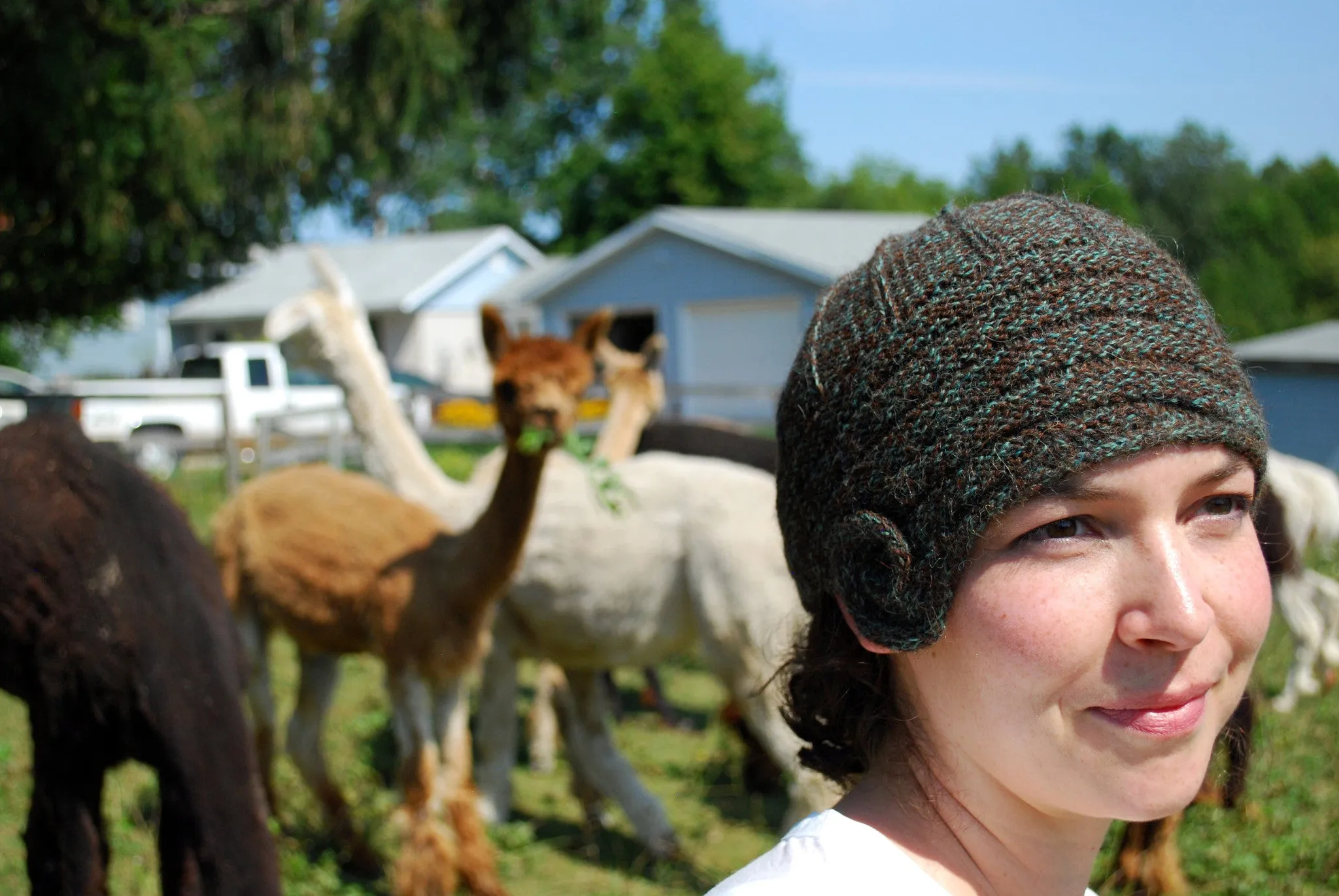 Lovelock Cloche Pattern (PDF) - Knitting Pattern by Phibersmith Designs