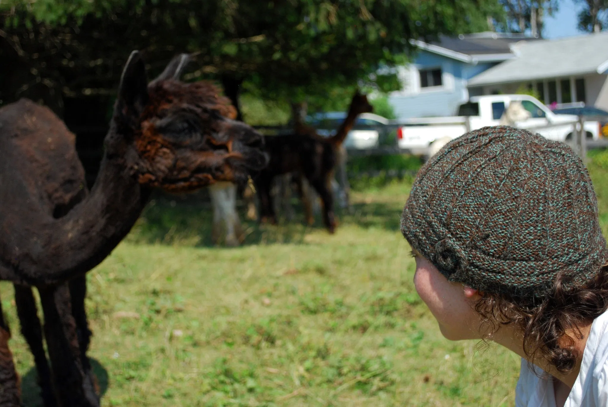 Lovelock Cloche Pattern (PDF) - Knitting Pattern by Phibersmith Designs